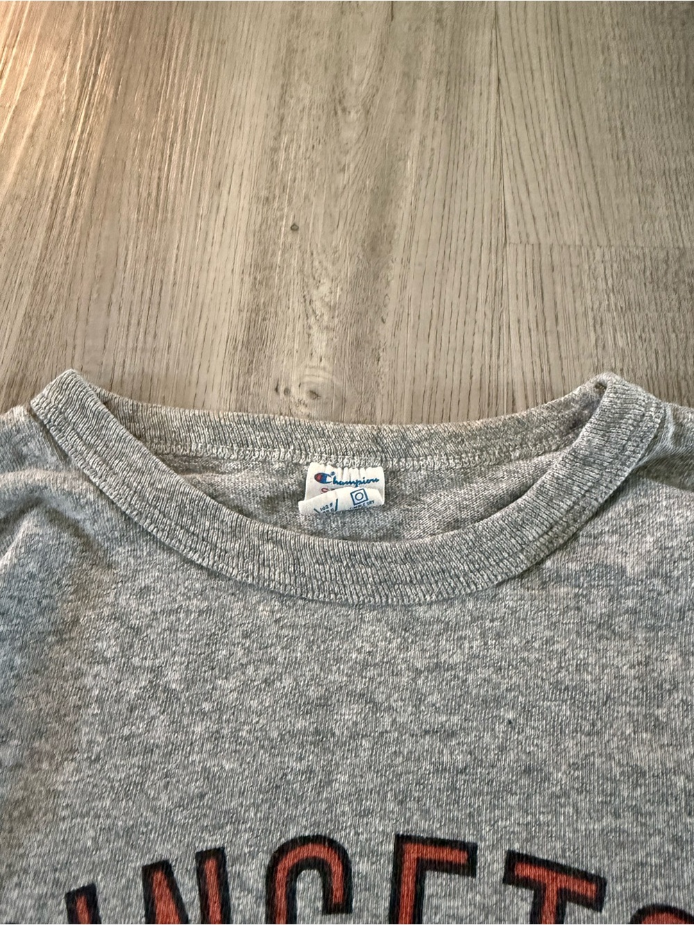Vintage single stitched 90s Champion Gray Crewneck with Orange Princeton varsity - Picture 5 of 5